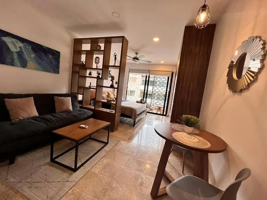 Apartamento Encantador Departamento/Roof Top Vista Al Mar/Gym Playa del Carmen