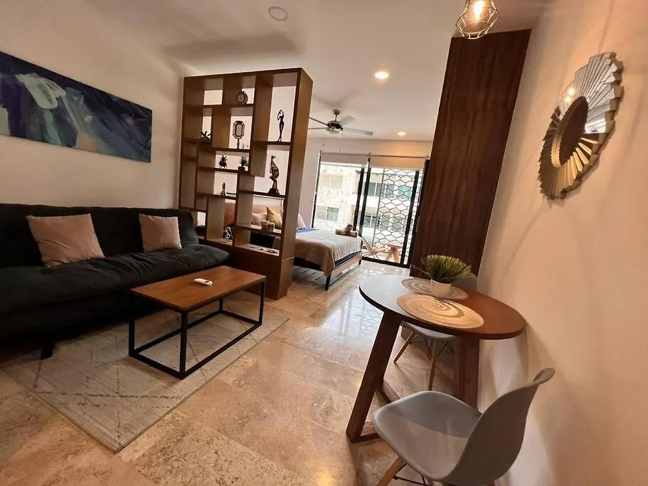 Apartamento Encantador Departamento/Roof Top Vista Al Mar/Gym Playa del Carmen México