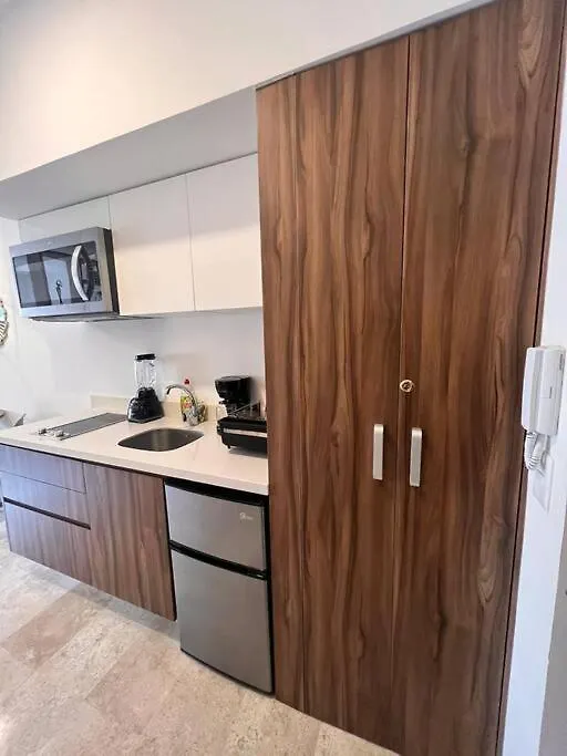 Apartamento Encantador Departamento/Roof Top Vista Al Mar/Gym Playa del Carmen